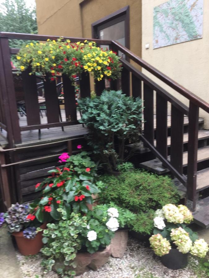 Centrum Turystyki Niekonwencjonalnej Srebrna Góra 외부 사진